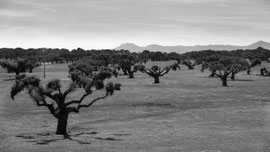 Spanien
