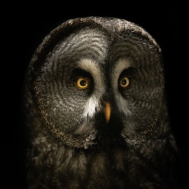 Uhu