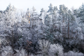 Waldviertel