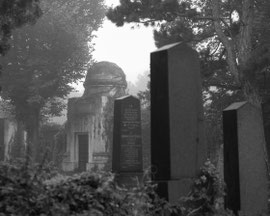 Zentralfriedhof