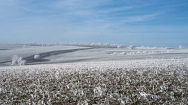 Waldviertel