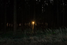Waldviertel