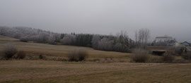Bei Weitra (Waldviertel)