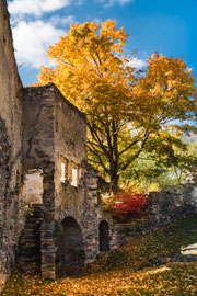 Ruine Schauenstein (Krug/Waldviertel)