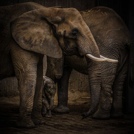 Familie