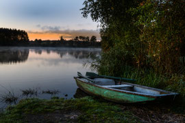 Karpfenteich bei Waldreichs 