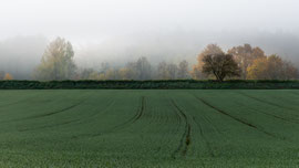 Ackerlandschaft bei Röhrenbach (Waldviertel)