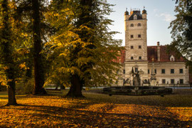 Schloss Greillenstein 