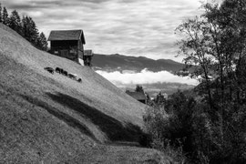 Zwischen Bramberg und Neukirchen (Pinzgau)