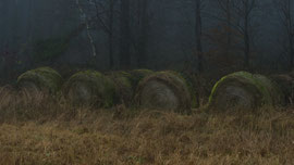 Vergessene Strohballen (Waldviertel)