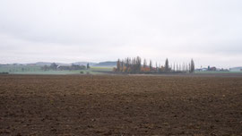 Waldviertel