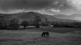Bulgarien