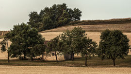 Zwischen Ramsau und Tautendorf (Waldviertel)