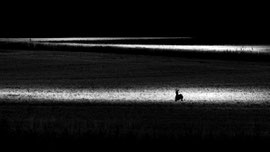 Licht und Schatten