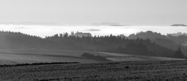 Richtung Gmünd (Waldviertel)
