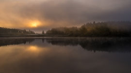 Waldreichs (Waldviertel)