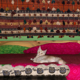 Valentino August 2025