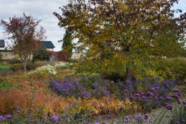 Altenburger Stiftsgarten
