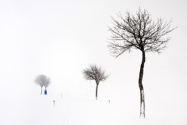 Litle blue (Waldviertler Schnee-Landschaft)