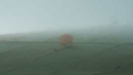 Nebellandschaft (Waldviertel)