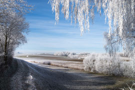 Waldviertel