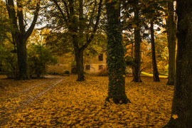 Schlosspark von Greillenstein