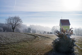 Waldviertel