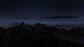 Wieder einmal zeigte mir die Stille des Abends am Strand ihre Magie, die sie diesesmal perfekt in blau erstrahlen ließ.