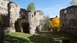 Ruine Schauenstein (Bei Krug/Waldviertel)