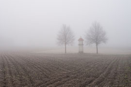 Bei St.Leomhard (Waldviertel)