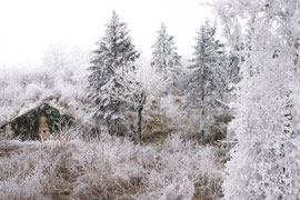 Waldviertel
