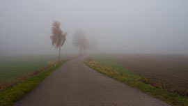 Ein Typischer Novembertag im Waldviertel