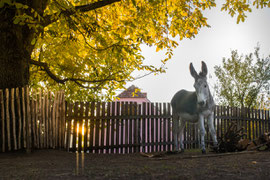 Herbst 2024