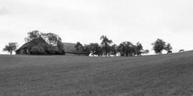 Waldviertel
