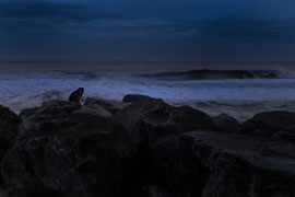 An einem Strand in Portugal