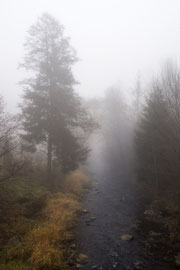 Bei Lichtenau (Waldviertel)