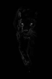 Im Schatten