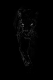 Im Schatten