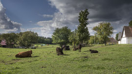 Bei Heinreichs (Waldviertel)