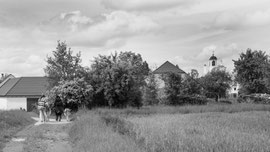 Am Heimweg 2023