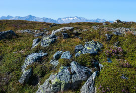 Am Wildkogel (Bramberg/Pinzgau)