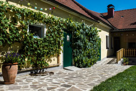 Im Innenhof (11.08.2023)