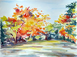 Herbst 1, Aquarell, 30x40, 2010