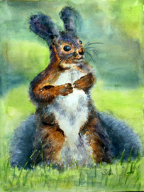 Eichhörnchen, Aquarell, 30x40, 2011