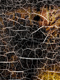11_Lezarte_Muriel Gani_Photographie_Tirage d'art contrecollé sur Dibond_30x40 cm_195€