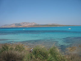 Sardegna 2010