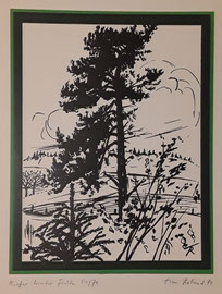 "Kiefer hinter Fichte", 1974, Zinkätzung (27,3 x 20,7 cm), limitierter Kunstdruck aus meinem Besitz (fotografiert)