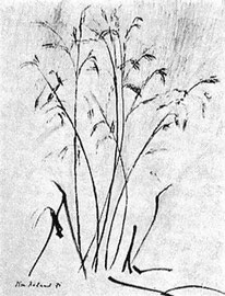"Gräser", 1971, Filzstift (40 x 30 cm)