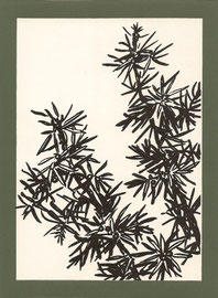 "Wacholderzweige", 1974, Zweifarbige Zinkätzung (14,8 x 10,5 cm), Kunstdruck
