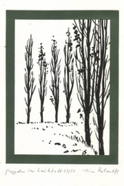 "Pappeln im Laubfall", 1974, Zweifarbige Zinkätzung (14,8 x 10,5 cm), limitierter Kunstdruck